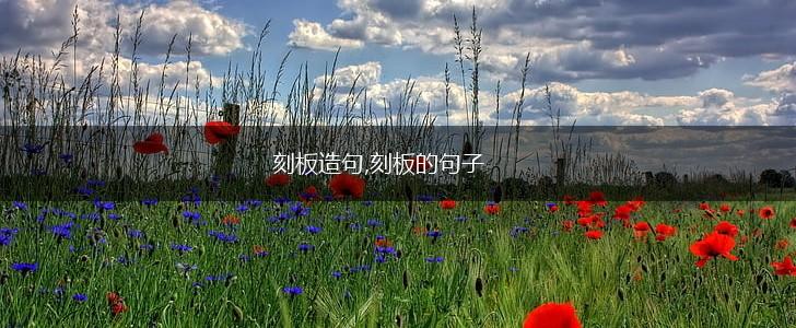 刻板造句,刻板的句子,第1张