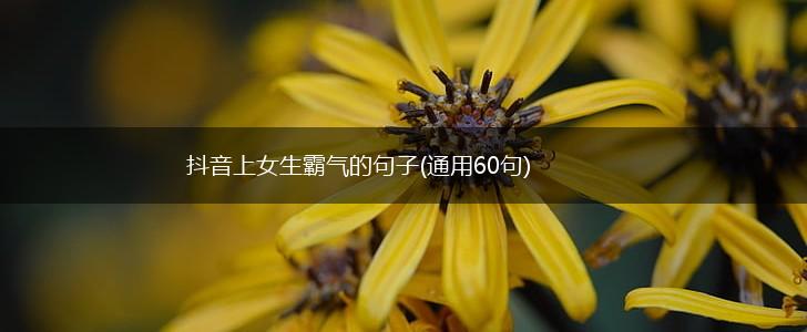 抖音上女生霸气的句子(通用60句),第1张