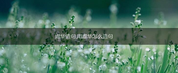 虚华造句,用虚华怎么造句,第1张