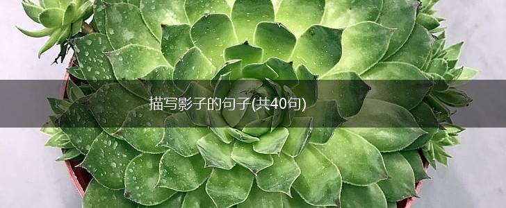 描写影子的句子(共40句),第1张