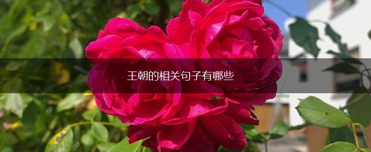 王朝的相关句子有哪些,第1张