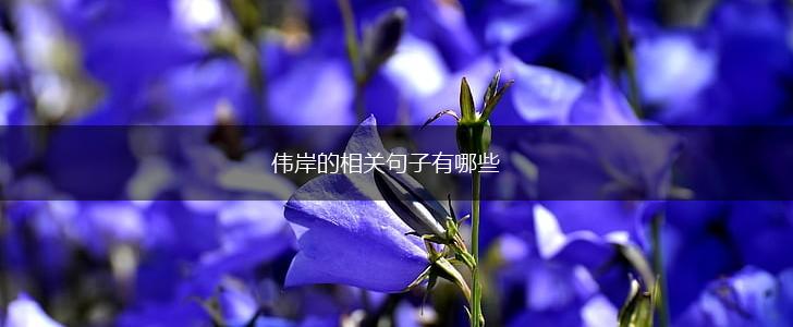 伟岸的相关句子有哪些,第1张