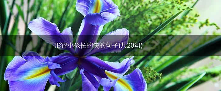 形容小孩长的快的句子(共20句),第1张