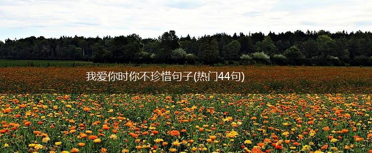 我爱你时你不珍惜句子(热门44句),第1张