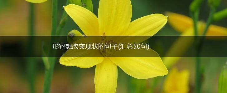 形容想改变现状的句子(汇总50句),第1张