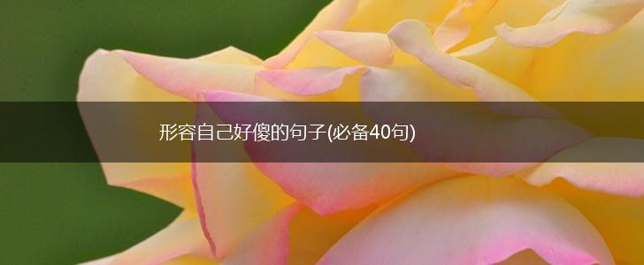 形容自己好傻的句子(必备40句),第1张