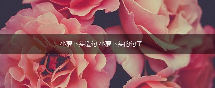 小萝卜头造句 小萝卜头的句子,第1张