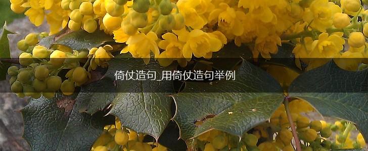 倚仗造句_用倚仗造句举例,第1张