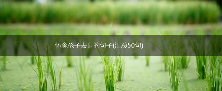 怀念孩子去世的句子(汇总50句),第1张