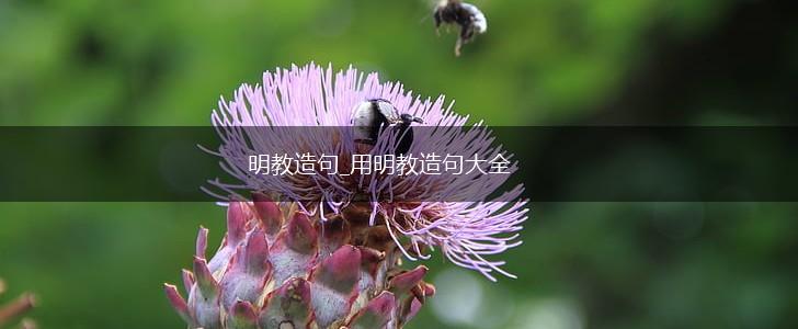 明教造句_用明教造句大全,第1张