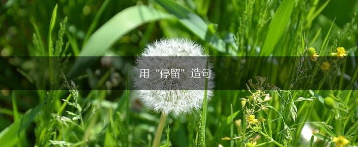 用“停留”造句,第1张