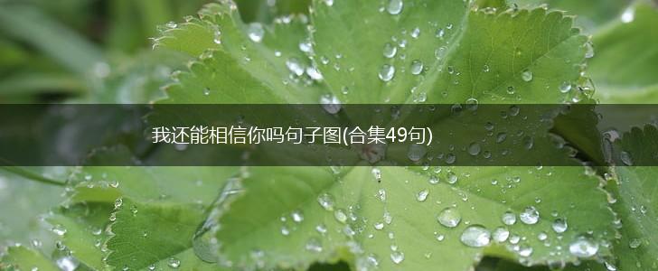 我还能相信你吗句子图(合集49句),第1张