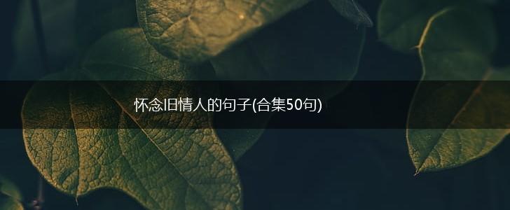 怀念旧情人的句子(合集50句),第1张
