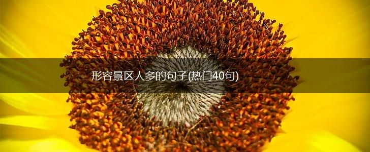 形容景区人多的句子(热门40句),第1张