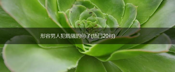 形容男人犯贱骚的句子(热门20句),第1张