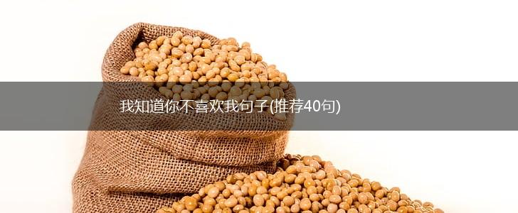 我知道你不喜欢我句子(推荐40句),第1张