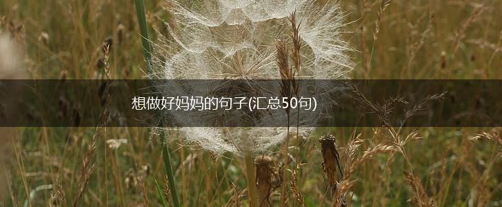想做好妈妈的句子(汇总50句),第1张