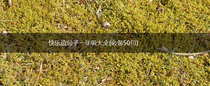 快乐造句子一年级大全(必备50句),第1张