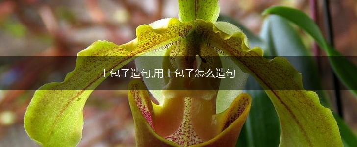 土包子造句,用土包子怎么造句,第1张