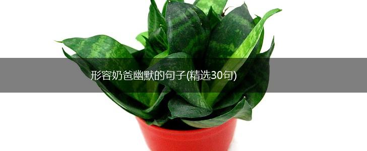 形容奶爸幽默的句子(精选30句),第1张