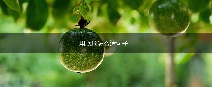 用款项怎么造句子,第1张