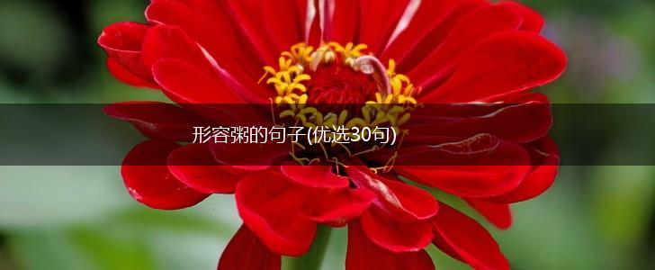 形容粥的句子(优选30句),第1张