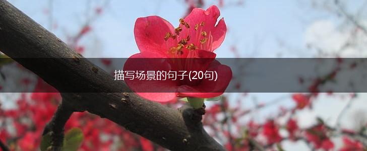 描写场景的句子(20句),第1张