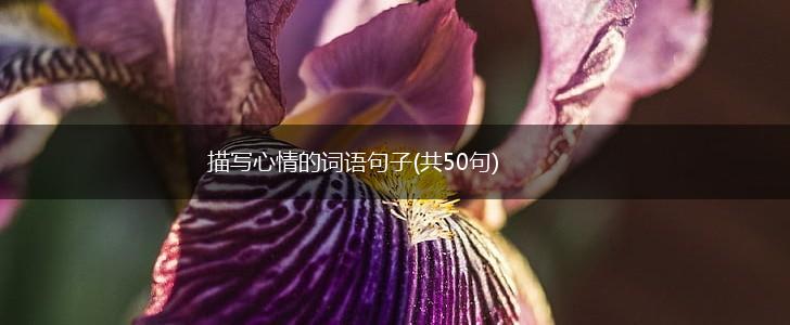 描写心情的词语句子(共50句),第1张