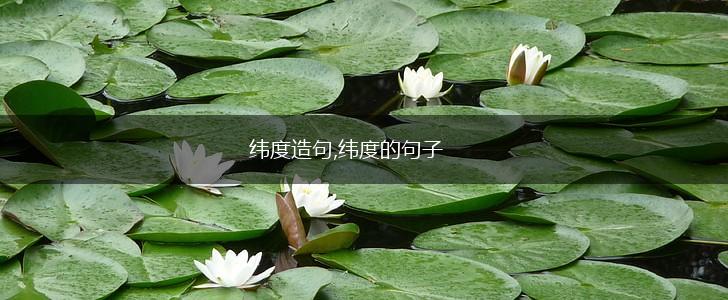 纬度造句,纬度的句子,第1张