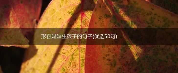 形容妈妈生孩子的句子(优选50句),第1张