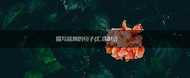 描写屈原的句子(汇总8句),第1张