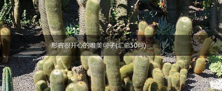 形容很开心的唯美句子(汇总50句),第1张