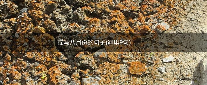 描写八月份的句子(通用9句),第1张