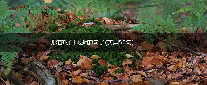 形容时间飞逝的句子(实用50句),第1张