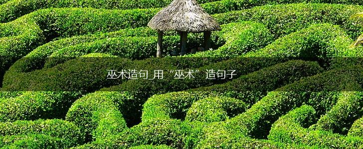 巫术造句_用“巫术”造句子,第1张
