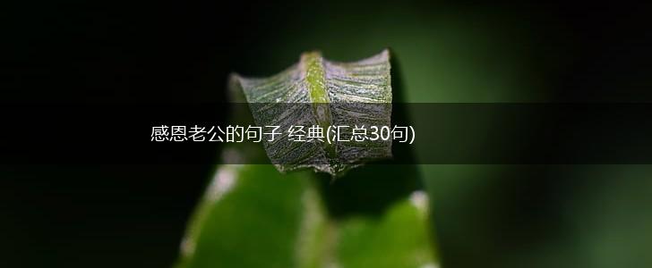 感恩老公的句子 经典(汇总30句),第1张