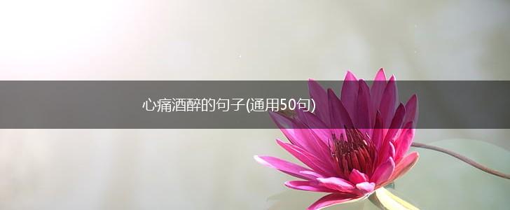 心痛酒醉的句子(通用50句),第1张