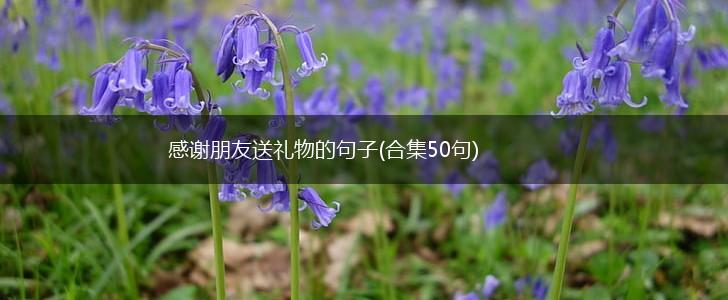 感谢朋友送礼物的句子(合集50句),第1张