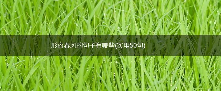 形容春风的句子有哪些(实用50句),第1张