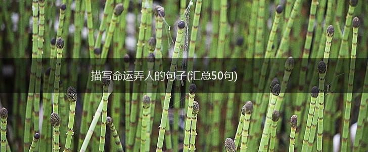 描写命运弄人的句子(汇总50句),第1张
