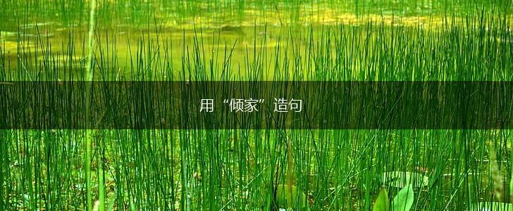 用“倾家”造句,第1张