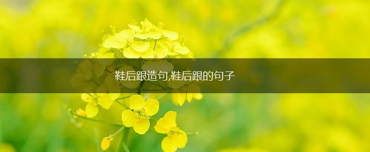 鞋后跟造句,鞋后跟的句子,第1张