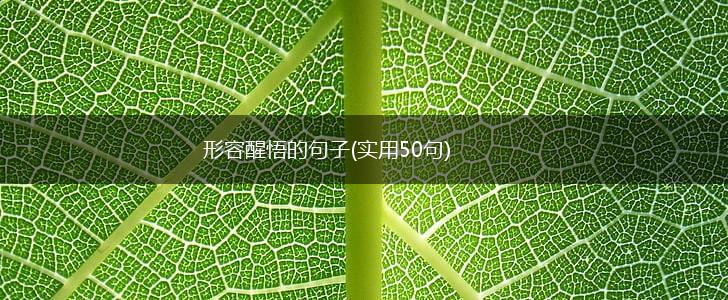形容醒悟的句子(实用50句),第1张