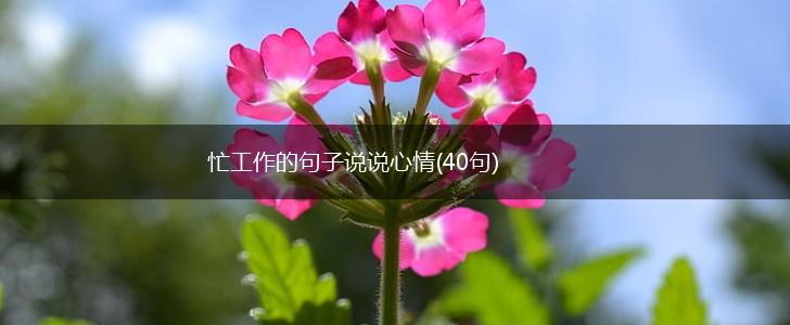 忙工作的句子说说心情(40句),第1张