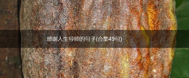 感谢人生导师的句子(合集49句),第1张