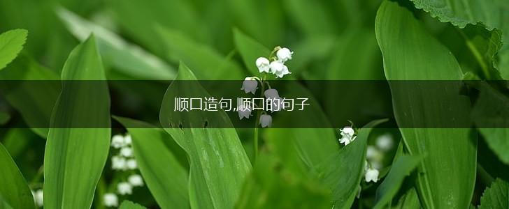顺口造句,顺口的句子,第1张
