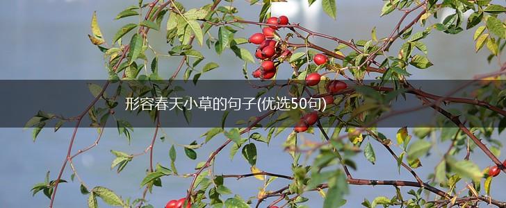 形容春天小草的句子(优选50句),第1张