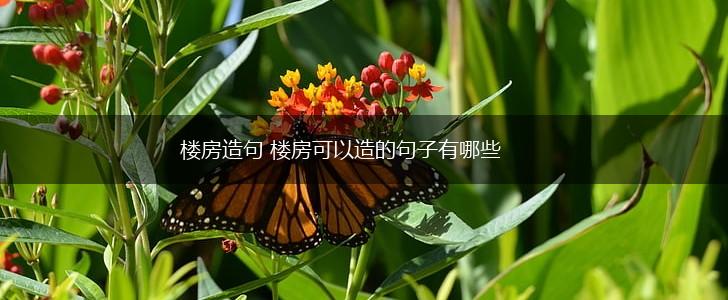 楼房造句 楼房可以造的句子有哪些,第1张