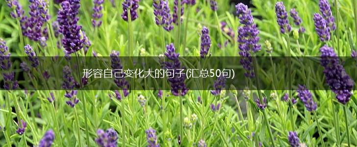 形容自己变化大的句子(汇总50句),第1张