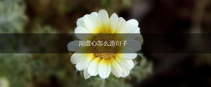 用虚心怎么造句子,第1张